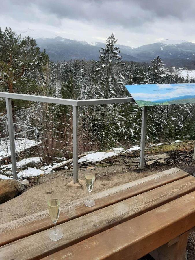 Apartament Lilu シクラルスカ・ポレンバ エクステリア 写真